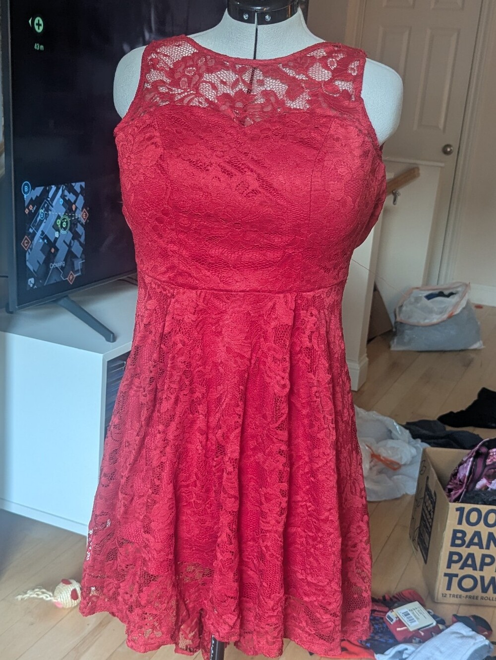 Red Lace Sleeveless Fit-and-Flare Mini Dress